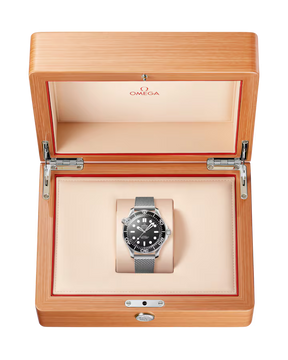 Seamaster Diver 300M