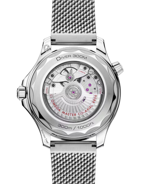 Seamaster Diver 300M