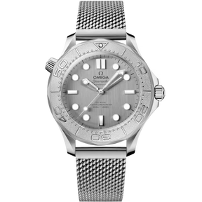 Seamaster Diver 300M