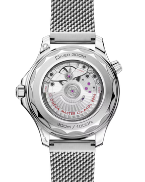 Seamaster Diver 300M