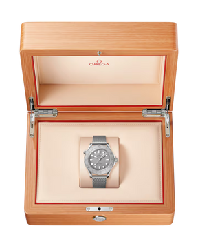 Seamaster Diver 300M