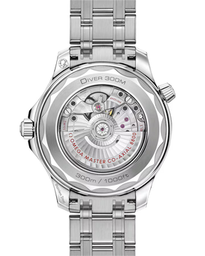 Seamaster Diver 300M