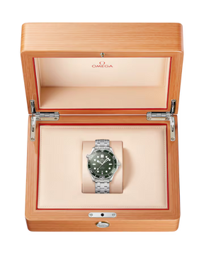 Seamaster Diver 300M
