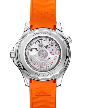 Seamaster Diver 300M