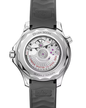 Seamaster Diver 300M