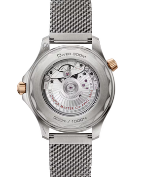 Seamaster Diver 300M