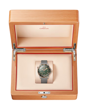 Seamaster Diver 300M